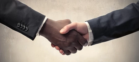 Mediation advocacy
